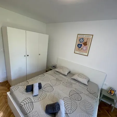 Apartment Owl *