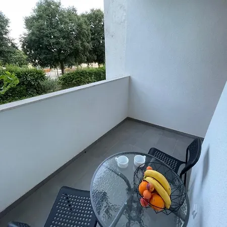 Apartment Owl