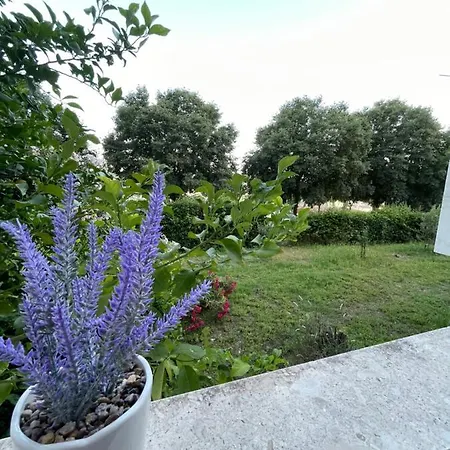 Apartament Owl *