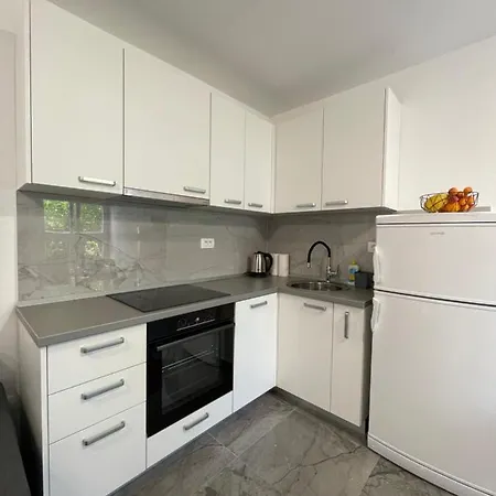 Owl Apartament